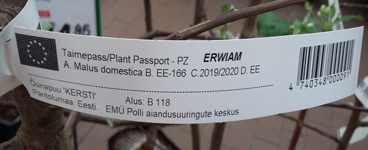 Istikule kinnitatud taimepass märkega „ERWIAM“