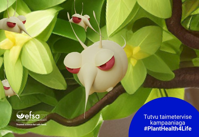 Kampaania #PlantHealth4Life graafika: kahjur