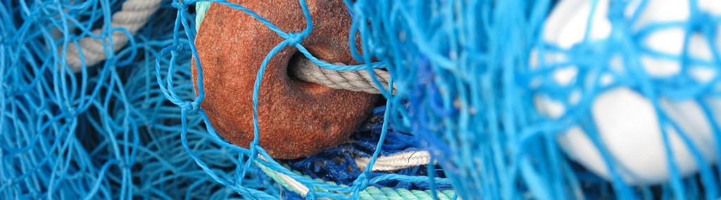 fishing-net-557249-pixabay-stickfish-1440.jpg