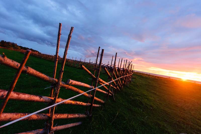 sügisvalguses-on-võlu-timo-anis.jpg