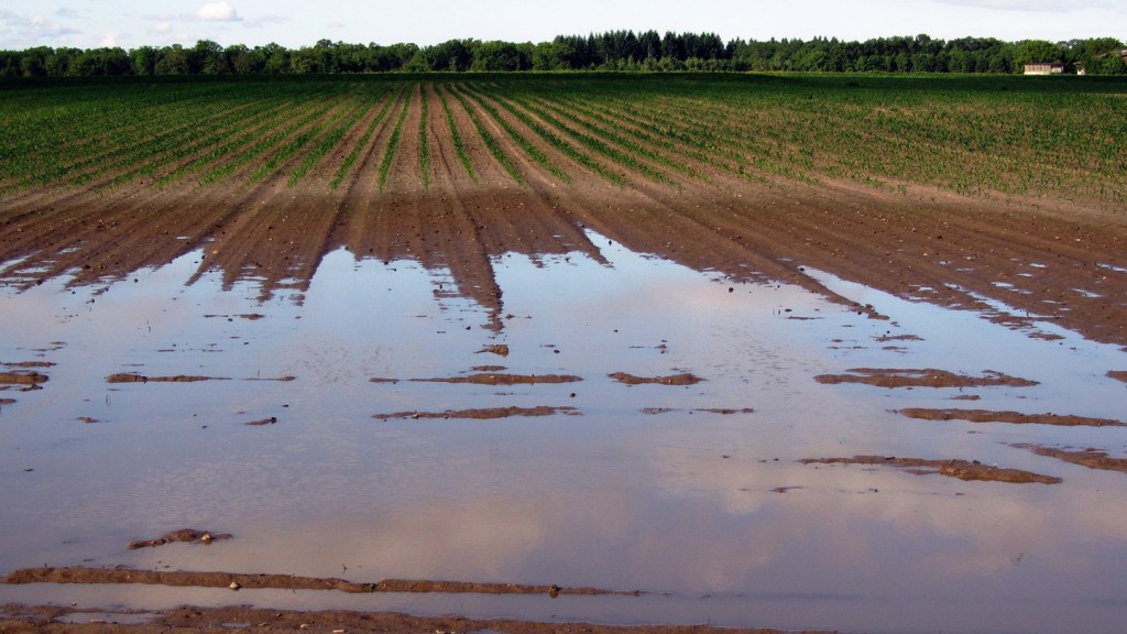 fields-406153-pixabay-Gerd-Altmann-1440x810.jpg