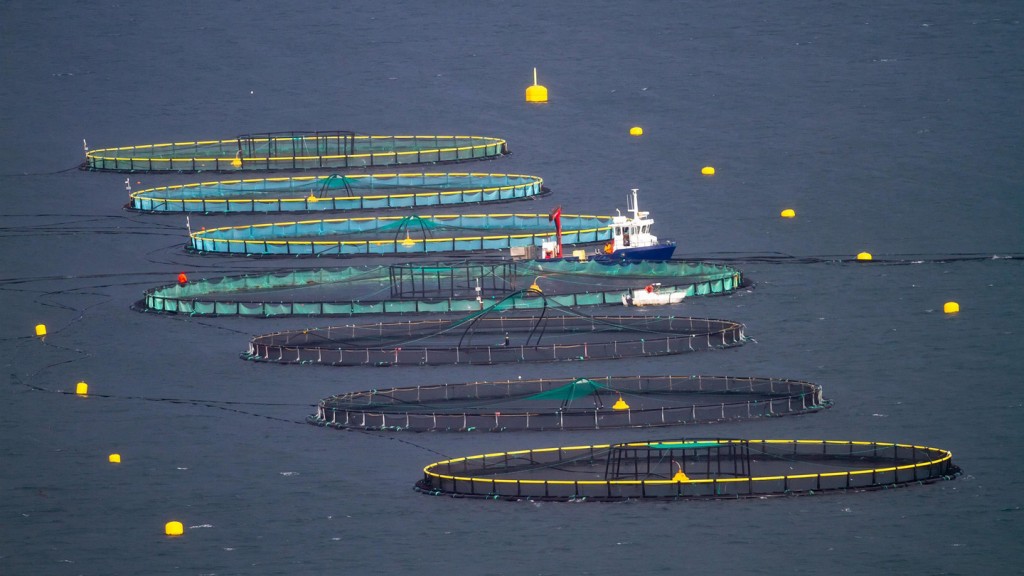 fish-farming-7557623-pixabay-Tapani-Hellman-(LTapsaH)-1440x810.jpg