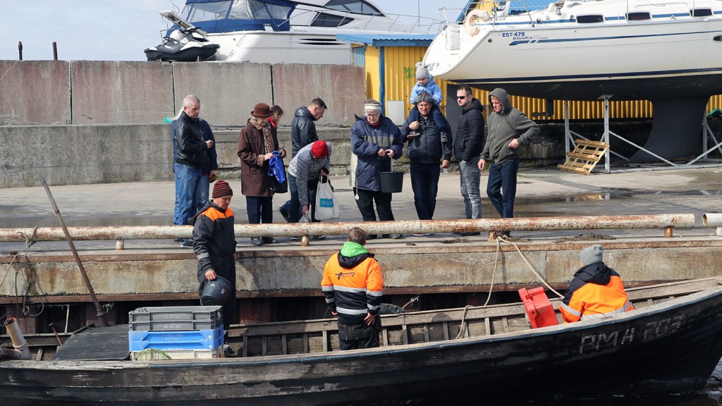 akp-2018-triin-heinaste-1440x810.jpg