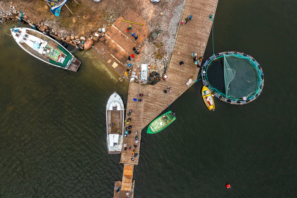 DJI_0737.jpg