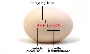 Tootekood kanamunal osiste lahtikirjutusega.
